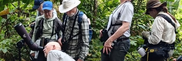 crested-eagle-panama