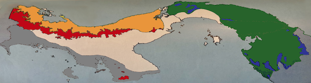 Birding Western Panama